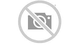 PARTICIPACIONES SOCIALES DE LA MERCANTIL MARITIME CREDIT COLLECTORS